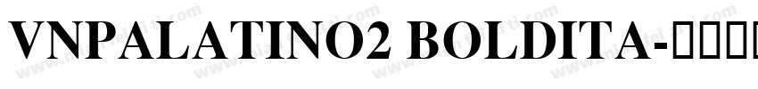 VnPalatino2 BoldIta字体转换